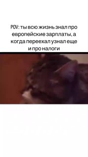 Это я, когда с моей годовой премии содрали 100500%🥲 image preview