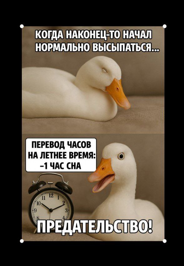 Фотография поста