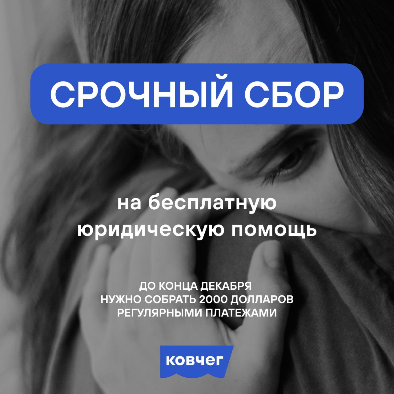 ❤️ Помогите тем, кто ежедневно помогает другим image preview