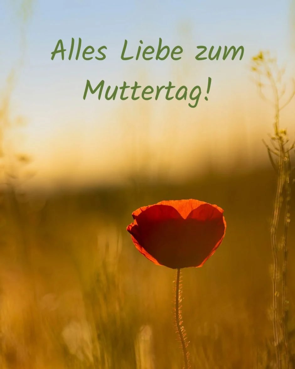 С Днём матери! (а он в Германии именно... image preview