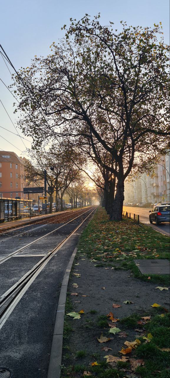 Фотография поста