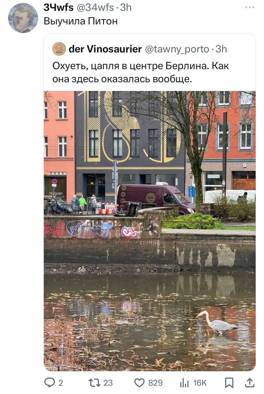 Фотография поста