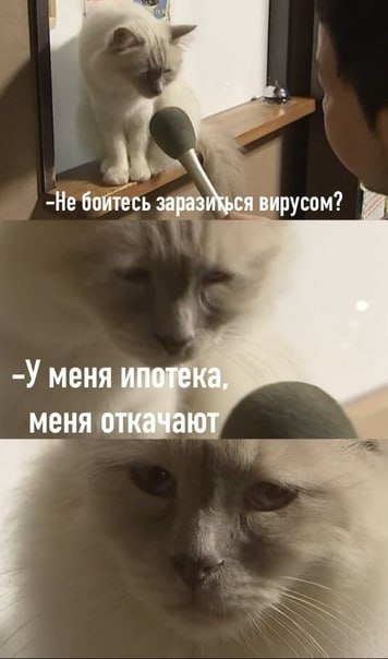 ⚠️Через час встречаемся на канале обсудить... image preview